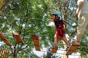 湖南普羅旺斯幼兒園樹上探險項目